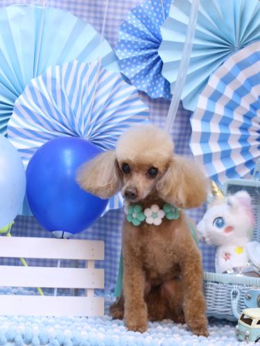 20231108リールちゃん